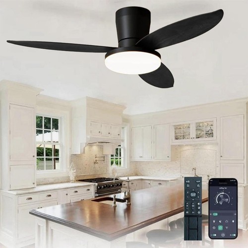 Led ceiling fans with light - fans,