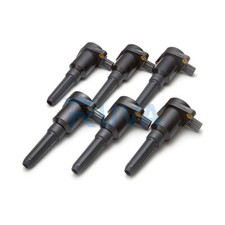 Ruva Ignition Coil 6 x Pack