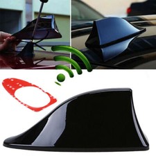 Gloss black car shark - car,