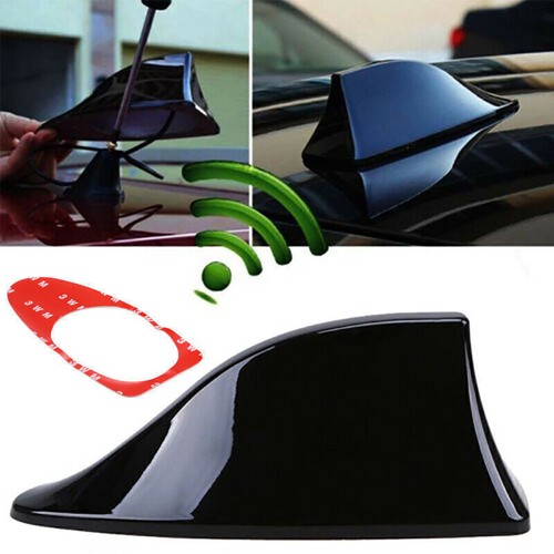 Gloss black car - car, shark