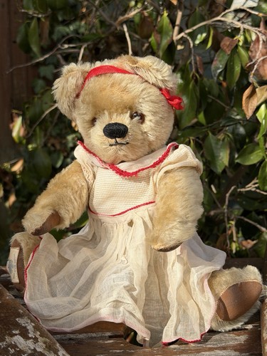 Old teddy bear chad - ,