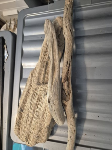 Natural scottish driftwood - scottish,
