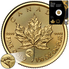 2025 Maple Leaf Privy Mark Polar Bear Gold Coin - Canada - Bullion Coin 1/10 oz BU