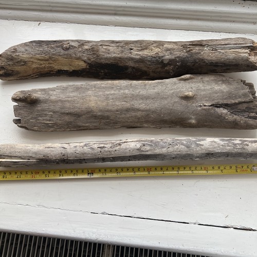 Driftwood sea weathered flat - sea,