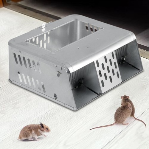 Squirrel trap heavy duty - squirrel,