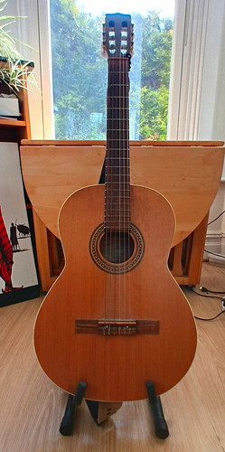 Patrie electro acoustic - la, qi