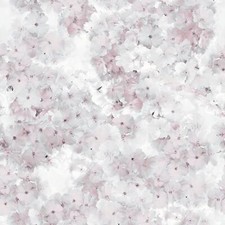 Muriva Apple Blossom Wallpaper Floral Delicate Flowers Rose 211501