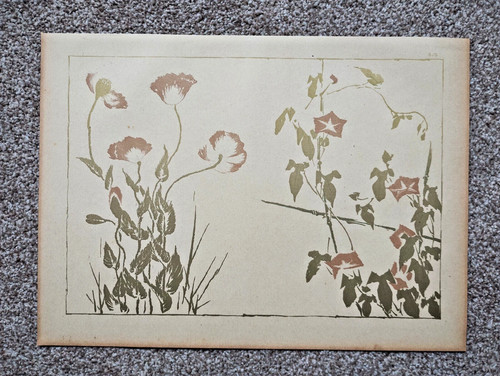 Flowers keisai kitao - by, kitao-