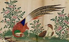 Chinese Golden Pheasant Bird Pair Chinese Painting on Pith 19th Century Original