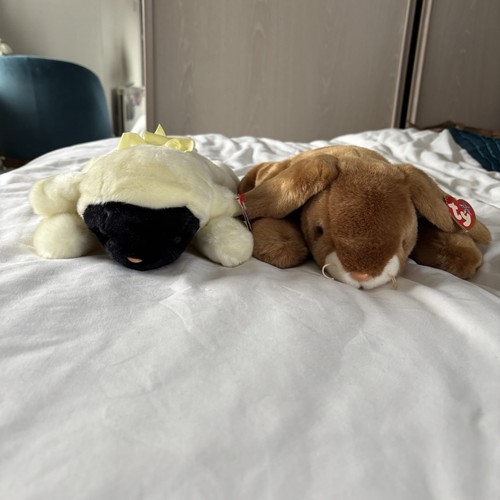 Beanie buddies chops ears - ty,