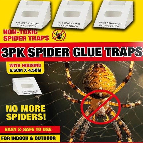 Spider killer traps - 3x,
