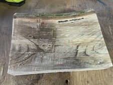 Spalted Magnolia Bowl Blank