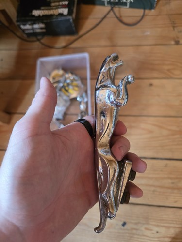 Jaguar chrome bonnet mascot - jaguar,
