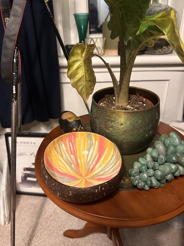 Hand painted coconut - hand-painted, –