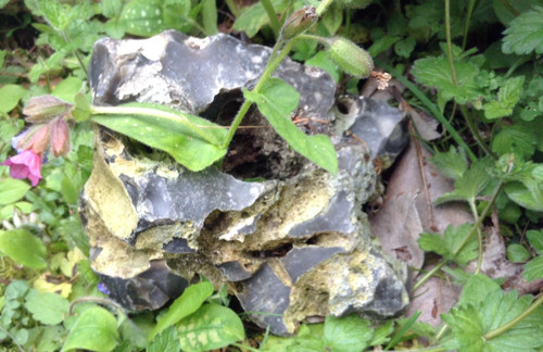 Natural weathered flint stone - natural,