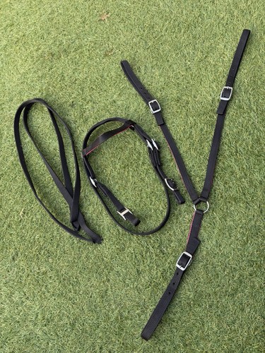 Shetland size webbed bridle - size,