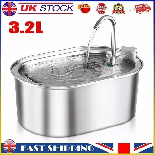 Cat dog pet water - dog,