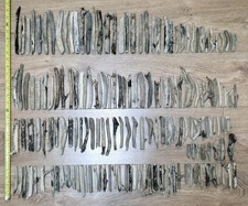 167 x Isle of Wight Driftwood