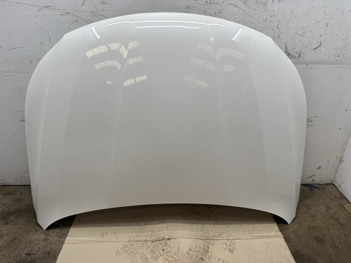 Passat 2011 bonnet white - vw,