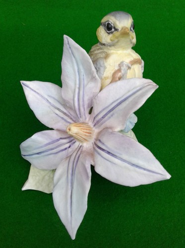Royal worcester fledgling - royal,