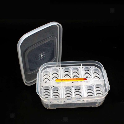 Reptile incubator tray - incubator,