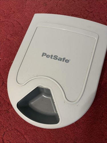 Pet feeder auto cats guinea - -,