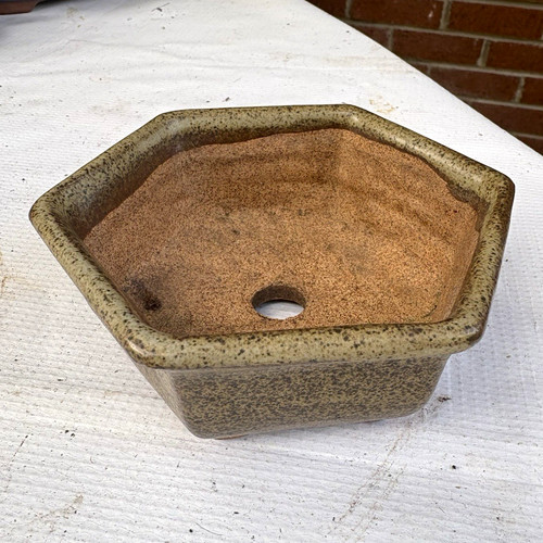 Small ceramic hexagonal bonsai - ceramic,