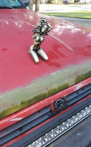 Rare hood ornament - rare, rod