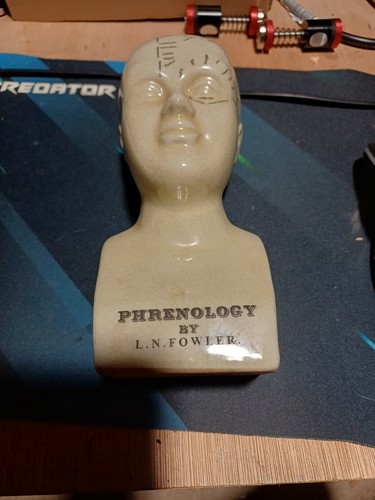 Phrenology head fowler - head, l.n.