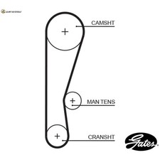 TIMING BELT 5119 FOR HONDA