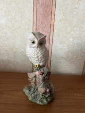 Aynsley Mastercraft Wildlife