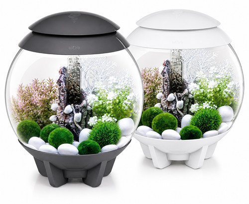 Oase biorb 15l halo - halo, multi