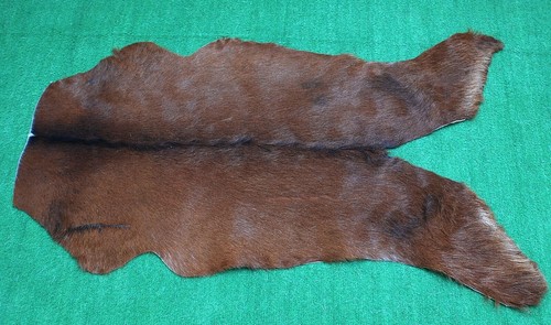 Genuine goat hide - goat,