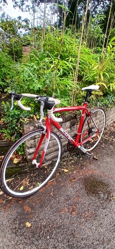 Scott s50 speedster cherry red - scott,