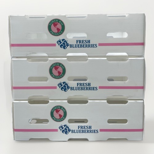 Surpack blueberry crates - blueberry,