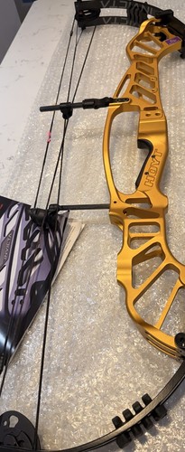 Hoyt invicta gold - gold, –