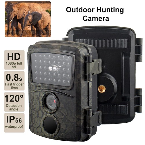 24mp 1080p hunting trail - 1080p,