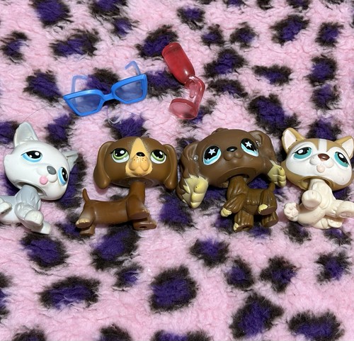 Littlest pet shop - pet,