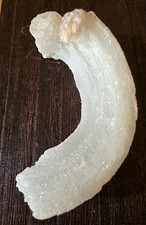 Rams Horn Selenite Rare