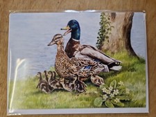 Duck greetings card - , ducks