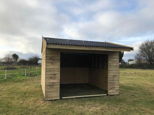 Single horse mobile field - horse,