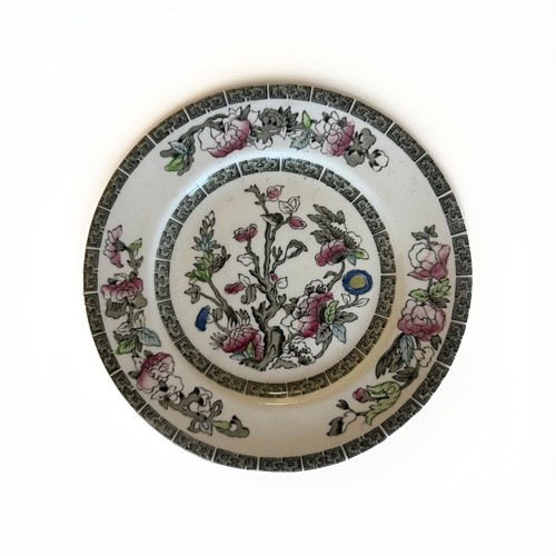 Vintage indian tree johnson - indian,