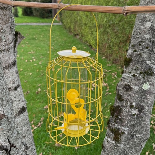 Hanging squirrel proof - hanging, seed
