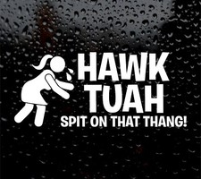 HAWK TUAH spit on that thang Vinyl Car Sticker Decal Graphics Bumper Stickers
