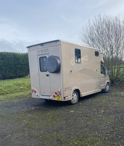 Horsebox automatic renault - -,
