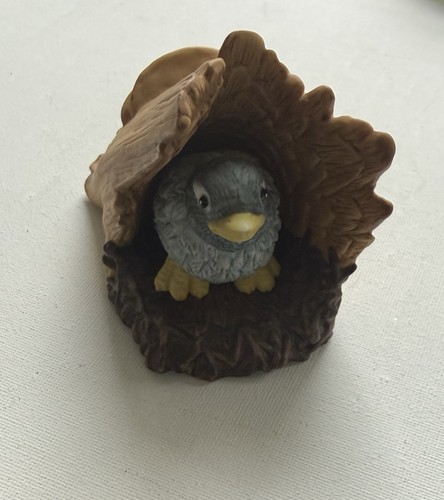 Woodland surprises bluebird - woodland,