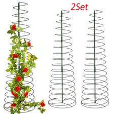 53" Garden Climbing Tomato