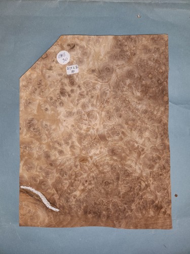 European walnut burr veneer - burr,