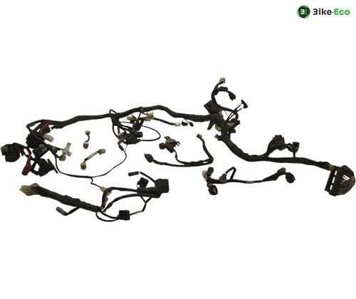 Motorcycle wiring harness - harness, for