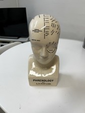 Vintage Style Phrenology Head